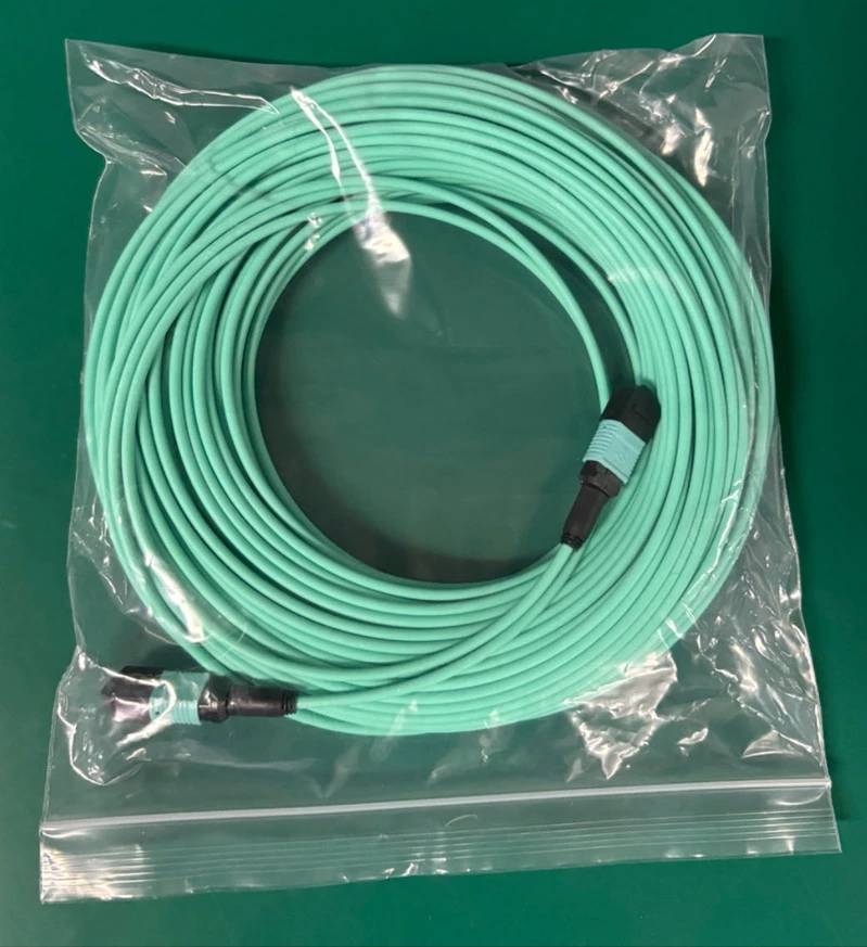 product-799-873 product-799-873